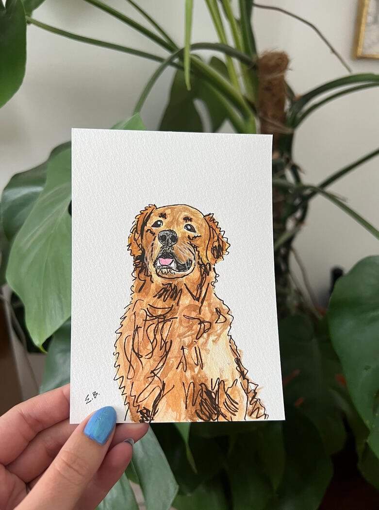 Maisey