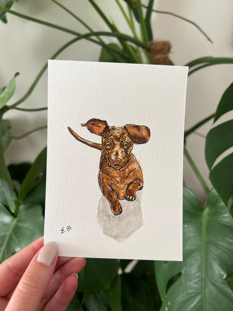 Hercules Friend