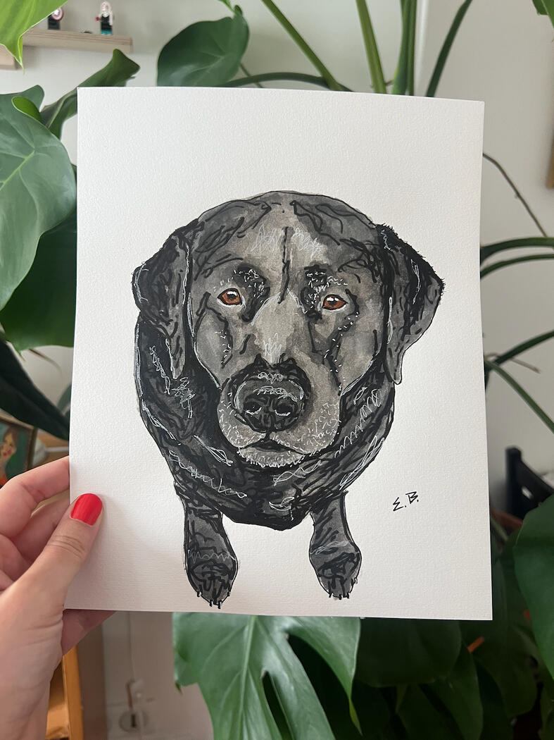 Enzo