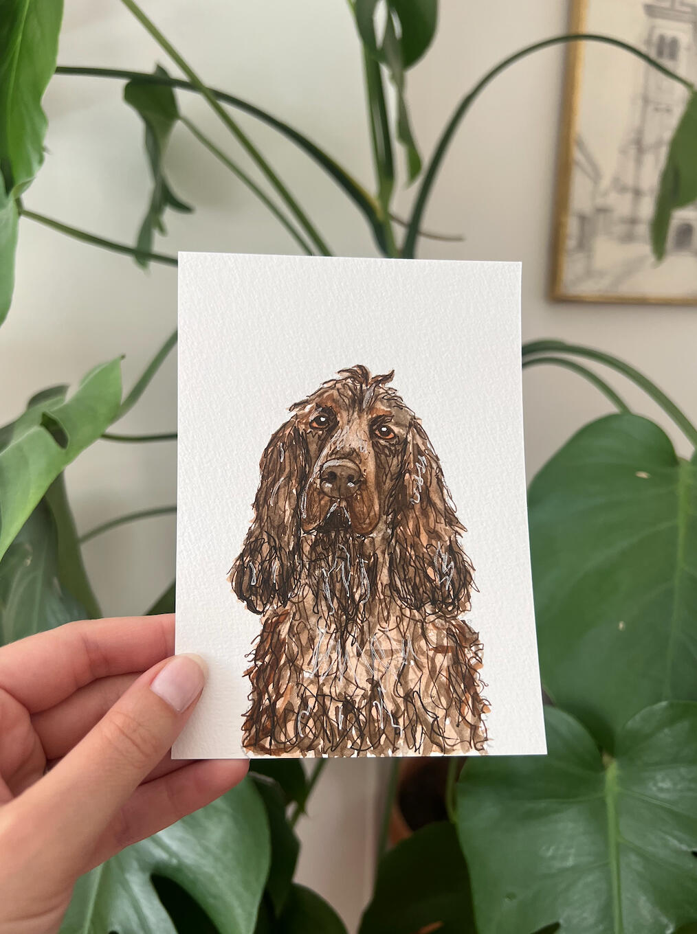 Billy Dog Billy Dog