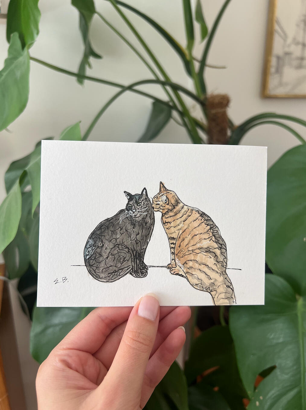 2 Cats